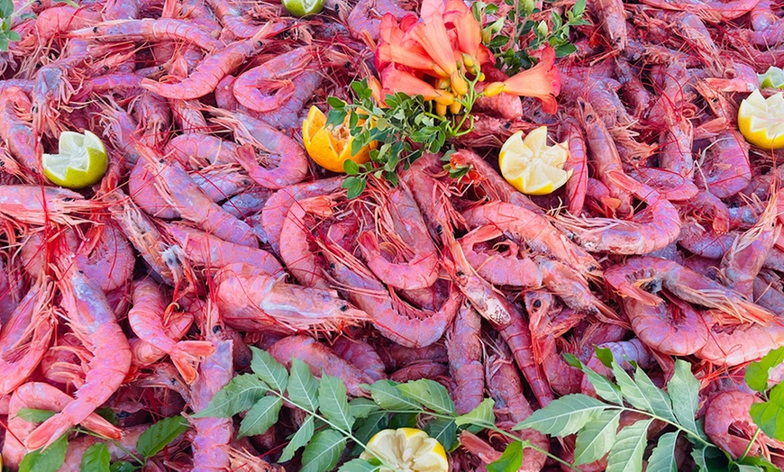 Image 3: 4-Gänge-Menü mit Fisch inkl. Aperitif für 1 - 2 Personen