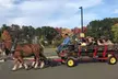 Magical and Scenic Horse-Drawn and Wagon Rides For All Ages in Springfield - Second Medium