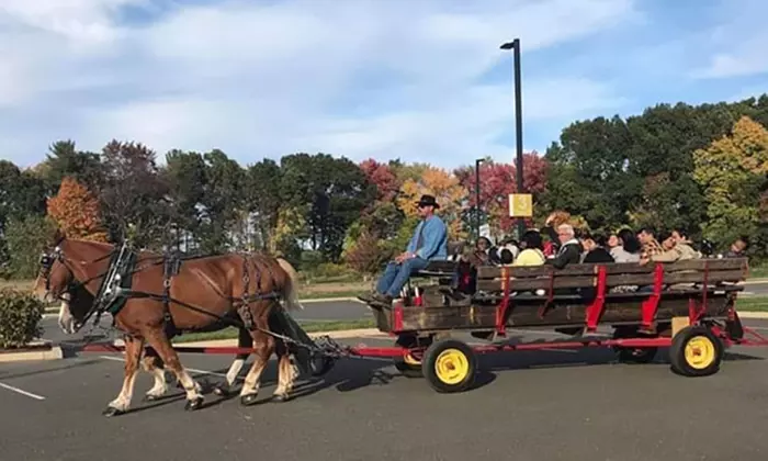 Magical and Scenic Horse-Drawn and Wagon Rides For All Ages