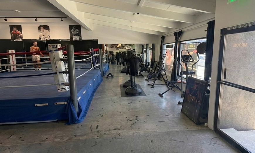 Image 8: Private Boxing & Kickboxing Classes with Progressive Learning