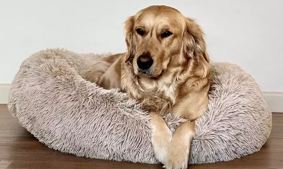 Cuccia extra-soffice per gatti e cani