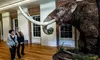 Experience a Family Adventure at the Staten Island Museum with admission for Two, Three or Four Up to  34% Off