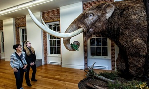 Explore Connections Between Art and Science at Staten Island Museum!