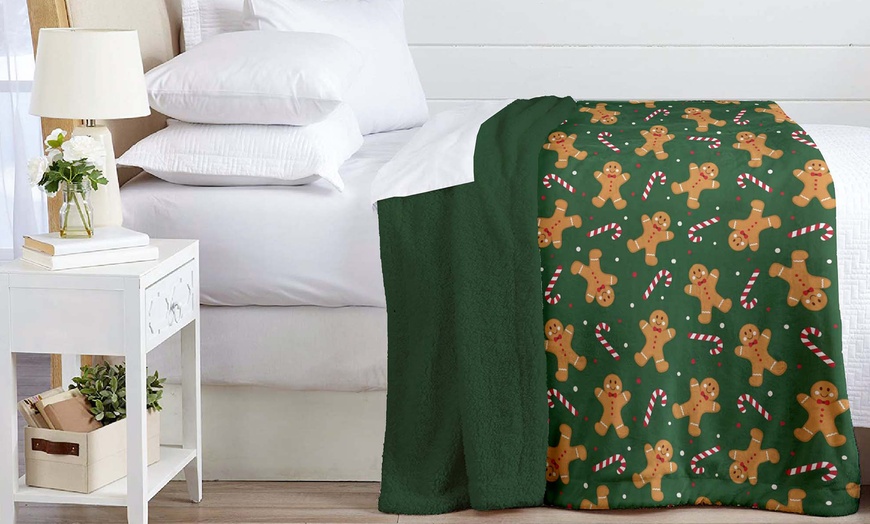 Image 2: Sherpa-Kuscheldecke