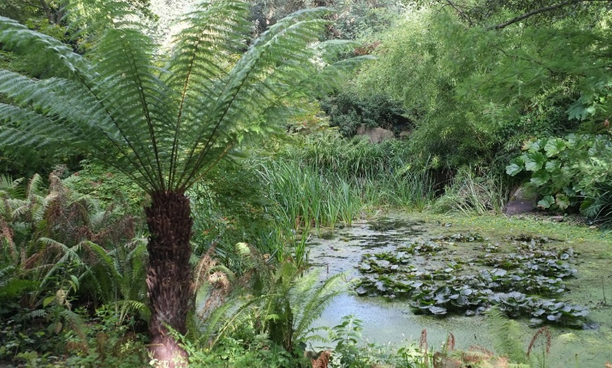 Image 14: Entrance to Capel Capel Manor Gardens & Mini Zoo 