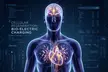 Scalar Energy Healing Sessions with Energy Enhancement at Energy Enhancement System - EES Austin (Up To 58% Off) - Image 2