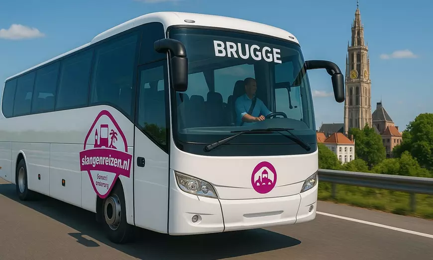 Image 1: Een dagje Brugge: met vervoer per luxe touringcar voor 1 persoon