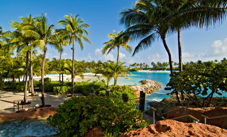 Image 4: 3- or 4 -Night Carnival Cruise Line to Bahamas with Weekender Breaks 