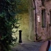Image 3: Family Chills and Thrills with Cobblestone Ghost Tours