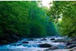 Experience White Water Rafting for Up to 6 People in Upper Pigeon River w/ Rapid Expeditions (Up to 25% Off) - Second Medium
