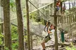 Conquer High Ropes & Ziplines at Treetop Quest Dunwoody: An Exhilarating Aerial Adventure for All Ages - Image 2