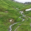 Image 3: Enjoy ATV or UTV Scenic Tours in the Real Alaskan Backcountry