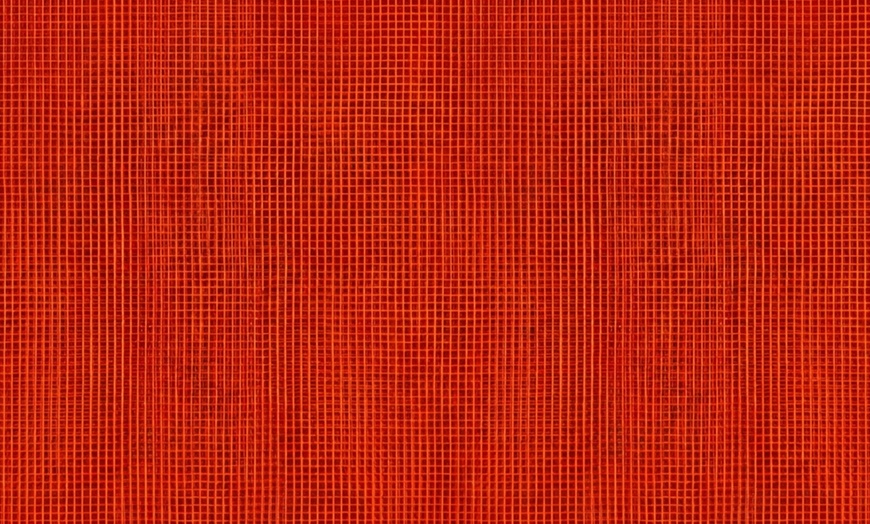 Image 5: 1 ou 2 rideaux anti-mouches