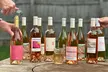 Swirl Wine Shop - $25, $50 or $75 Wine E-Gift Card (Up To 50% Off) - Second Medium