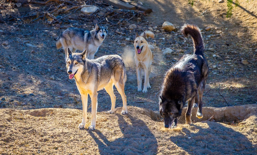 Image 3: Animal Encounters, VIP Experiences, or Wildlife Educator for a Day!