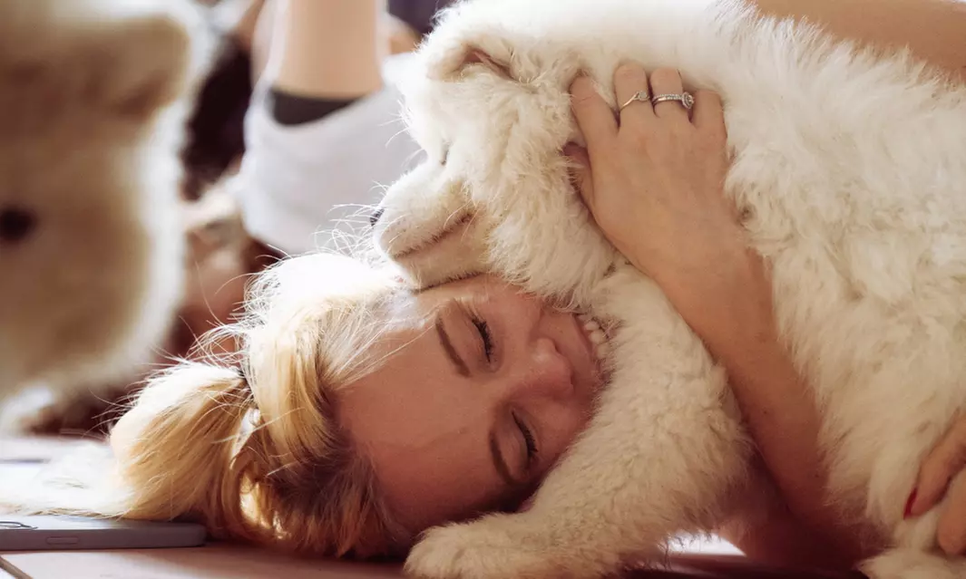 Odzyskaj równowagę i uśmiech: Sesja Pieski Yoga dla 1 lub 2 osób