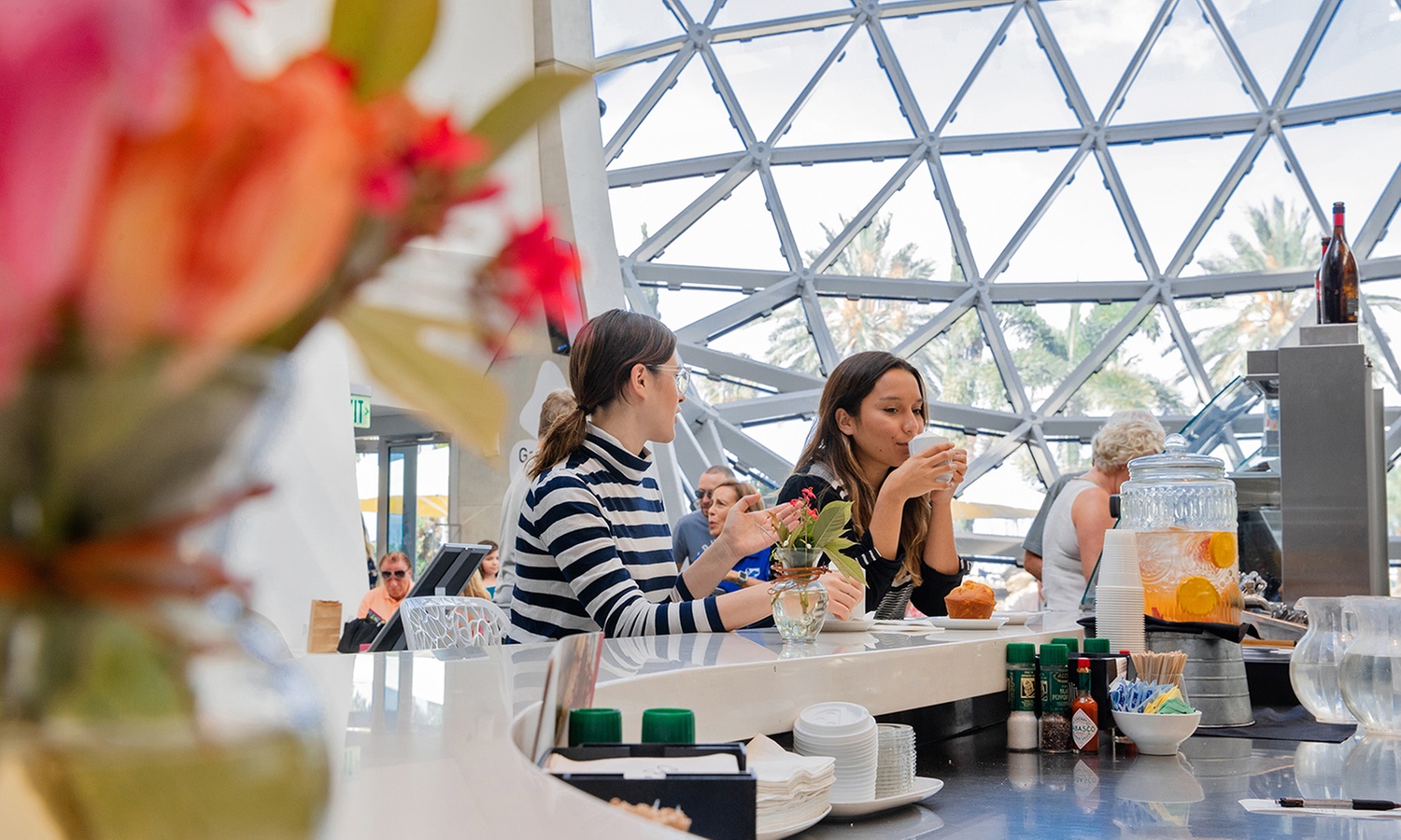 Single Adult Gallery Admission to The Dalí Museum