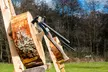 At X Adventure Activities Ltd, Unleash Your Inner Warrior w/ Archery & Axe Throwing Experience for Up To 36% Off - Second Medium