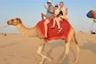 Premium Desert Tourism: Dubai & Sharjah Desert Safari w/ Horse or Camel Ride & Quad Bike Options (Up To 72% Off) - Image 2