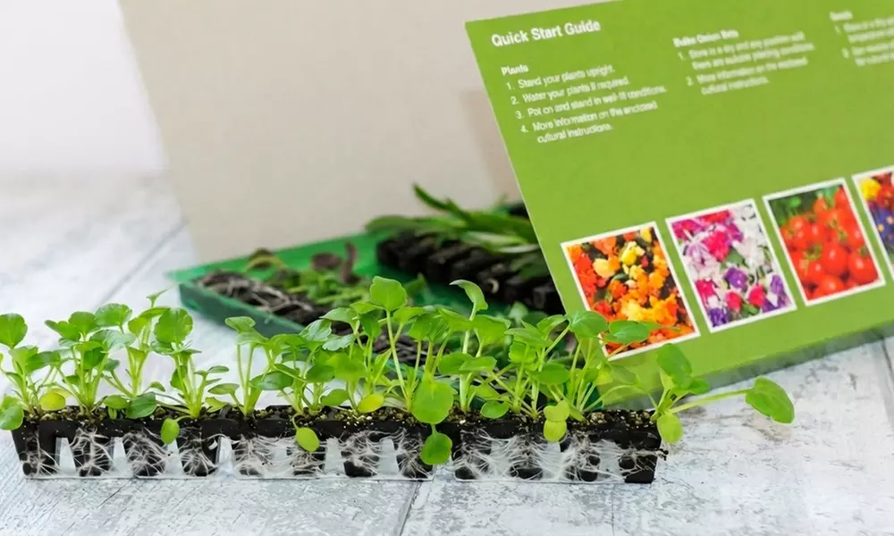 24 Wildlife Friendly Perennial Plants