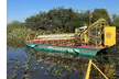 Everglades Airboat Tours with Optional Gator Show and Hold a Baby Gator Experience: Miccosukee Airboats (19% Off) - Second Medium