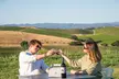 Outdoor Winery Experience for 2 People with Bottle of Wine, Cheese and Charcuterie Box at Artesa Winery (20% Off) - Second Medium