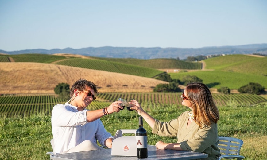 Image 4: 20% Off Outdoor Wine & Charcuterie Box at Artesa Winery