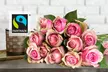 12 Fairtrade-Rosen in Rot, Rosa oder Gelb-Orange von Valentins (bis zu 38% sparen*) - Second Medium