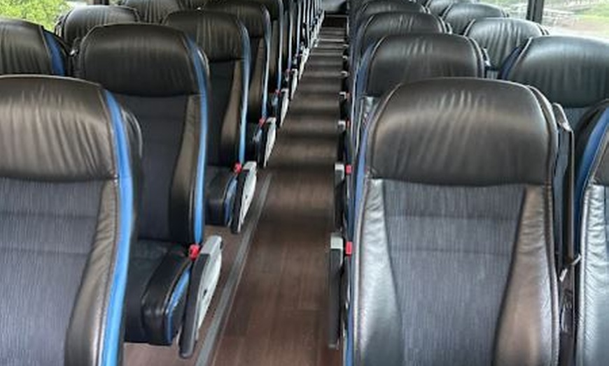 Image 5: Discover DC with Full-Day or Night-Time Hop-on Hop-off Bus Tour