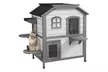 PawHut Cat House Spacious Two-Level Design for Indoor/Outdoor Use - Second Medium