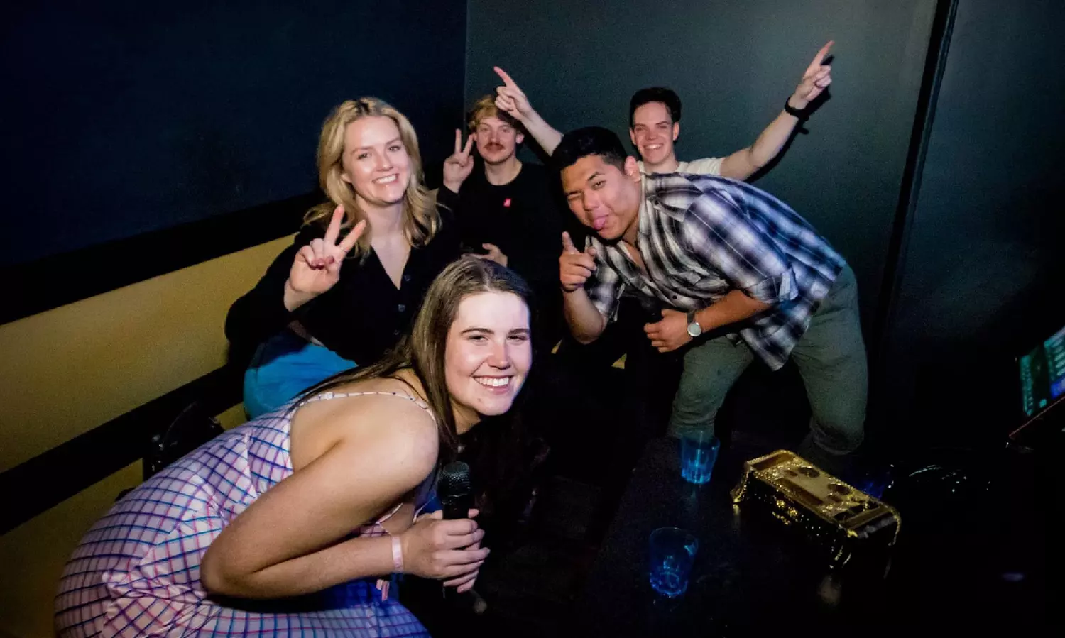 Sing Your Heart Out: 3Hr Karaoke Room Hire Only for Up to 6, 10 or 15