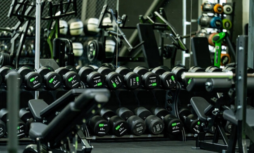 Image 7: Unlock Premium Fitness: Buzz Gym Multi-Site Membership! 