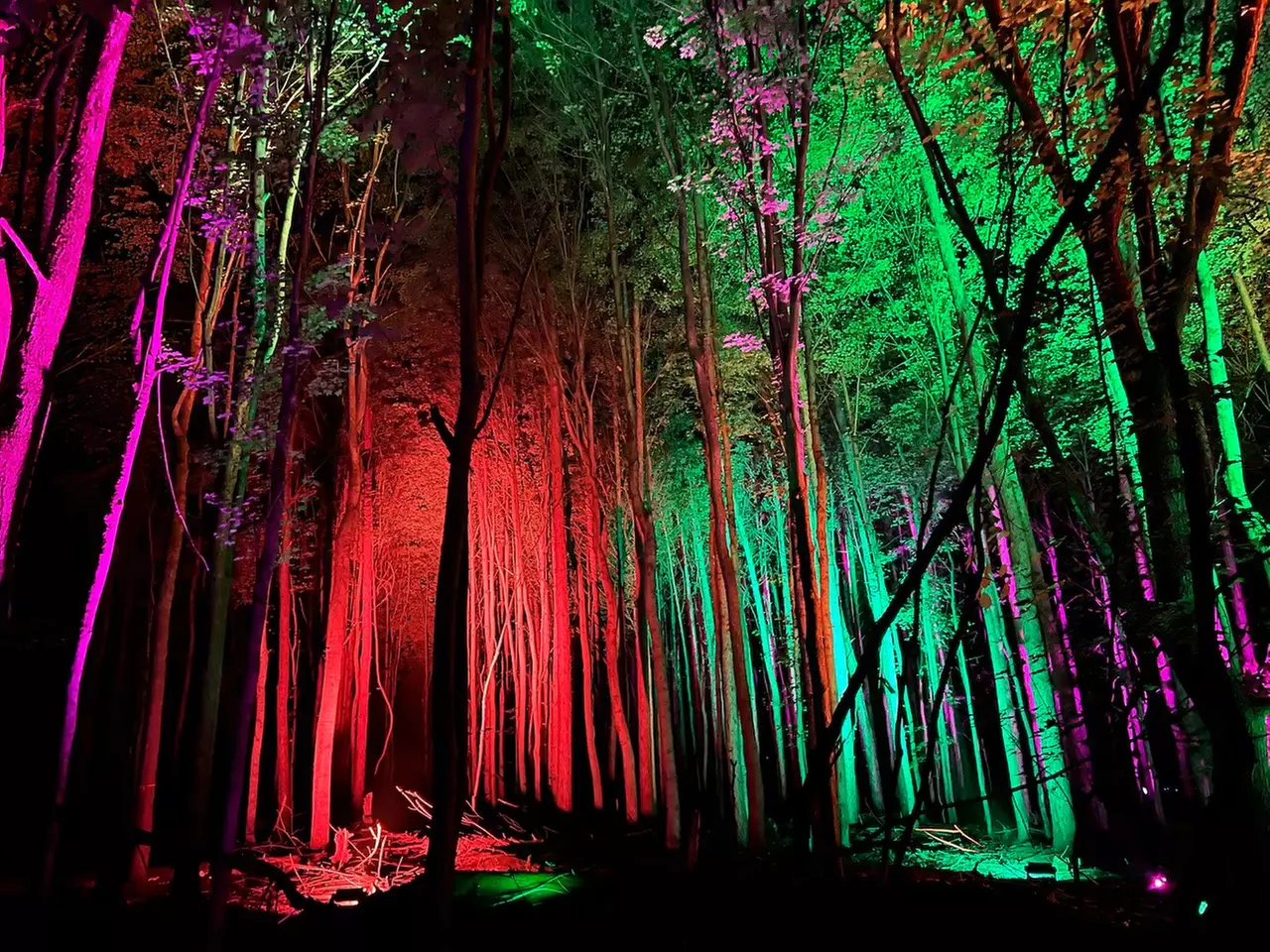 Up to 36% Off on Admission to Spooktacular Festival on Oct. 31