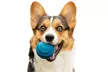 FurHaven Fetch N' Fun TPR Ball Squeaky Dog Toy 3-Pack - Second Medium