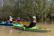 Glide Through Honey Island Swamp: Guided Kayak Tours with Wildlife & Louisiana History Near New Orleans - Second Medium