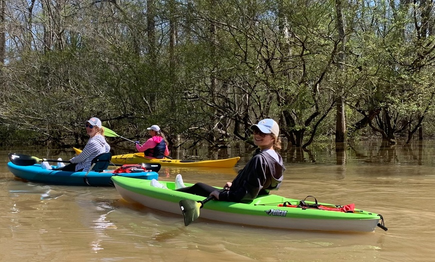 Image 2: Kayak Honey Island Swamp Tour 