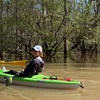 Image 2: Kayak Honey Island Swamp Tour 