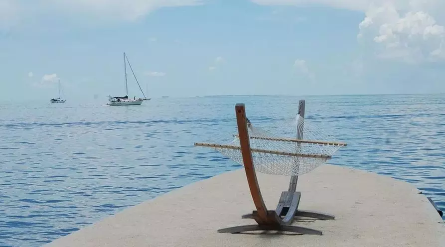 Relax by the water with stunning views and tropical vibes