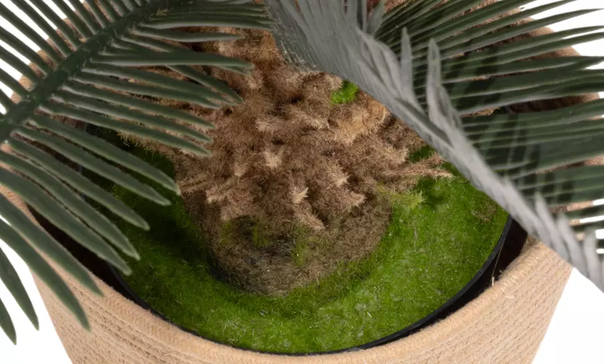 Image 14: Plantas artificiales decorativas en diferentes diseños