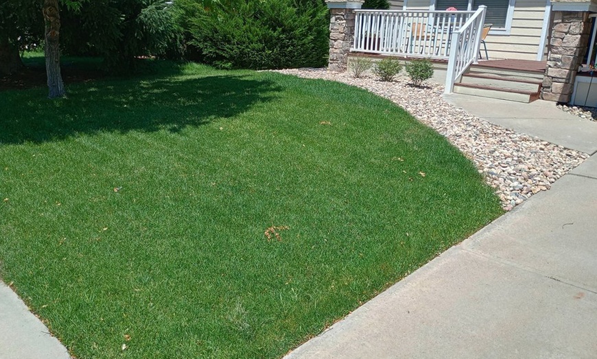 Image 2: Transform Your Lawn with 1, 3, or 5 Lawn Mowing Services (5000 SQ FT)
