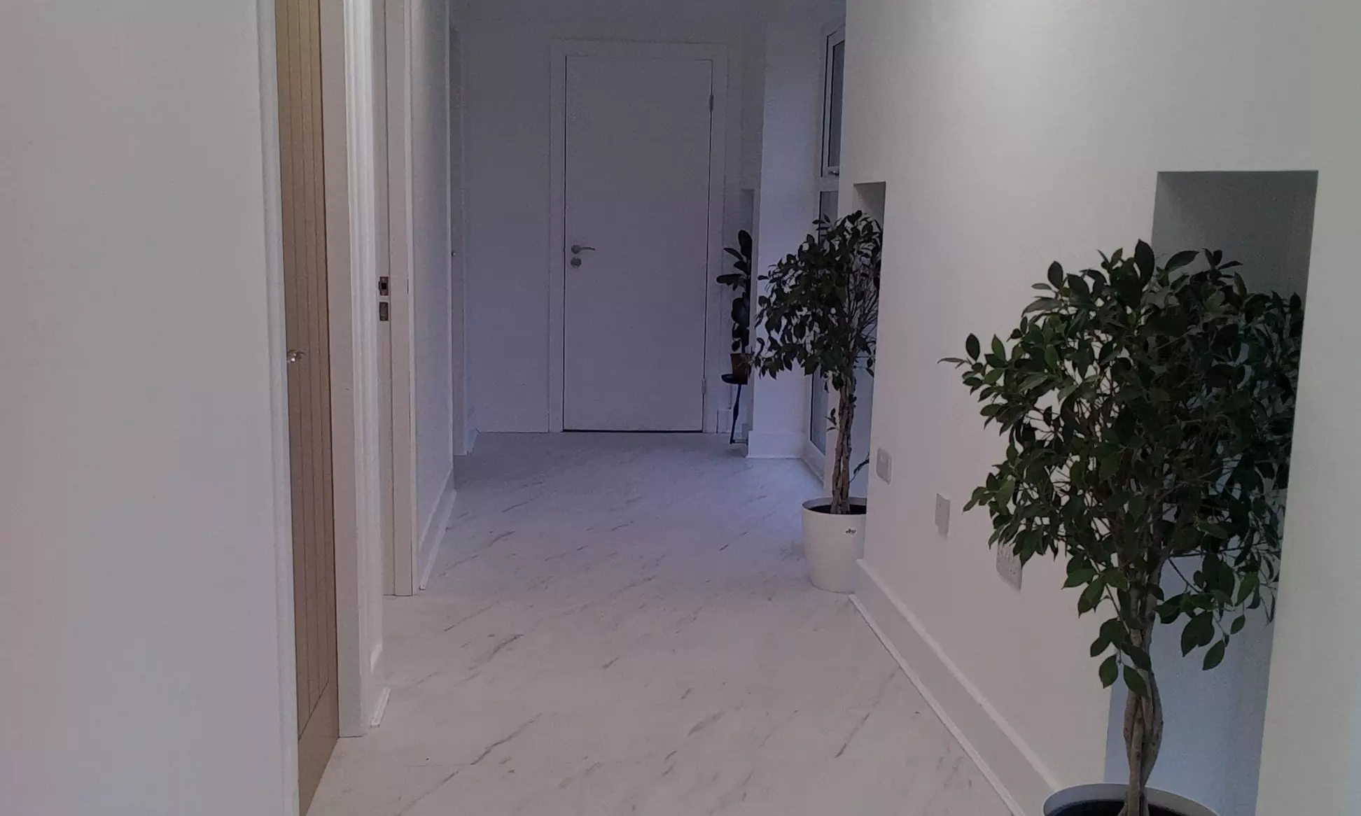 Laser Hair Removal – 6 Sessions for Small to XL Areas