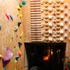 Image 9: Indoor Rock Climbing Passes & Day Passes – Phoenix