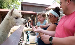Admission for One Child or Adult to Bronx Zoo