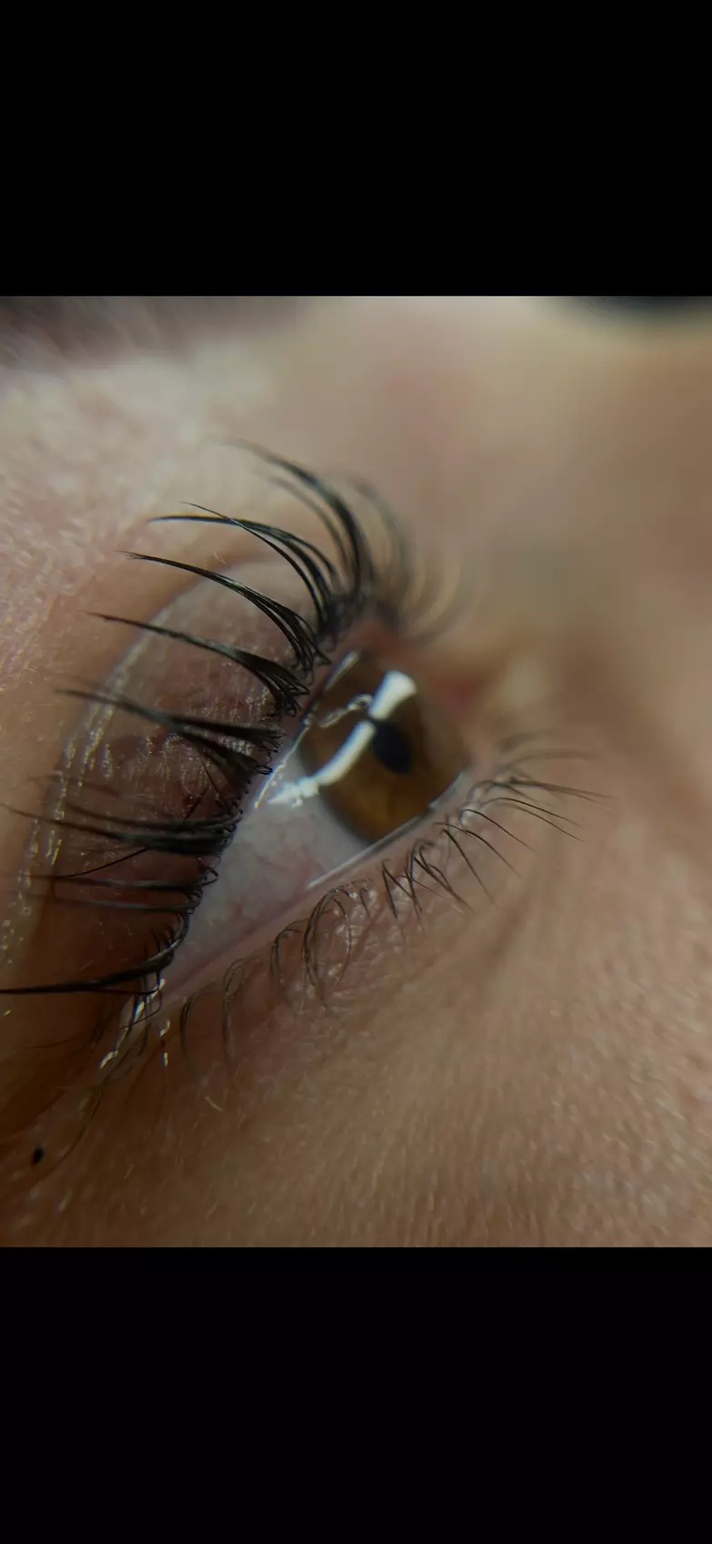 Rehaussement de cils et brow lift