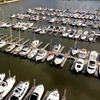 Image 17: Texas Waterfront Resort Escape with Poolside Bar & Dining Experiences