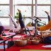 Image 9: Teutoburger Wald: 2 Nächte mit Verpflegung und Yoga-Seminar