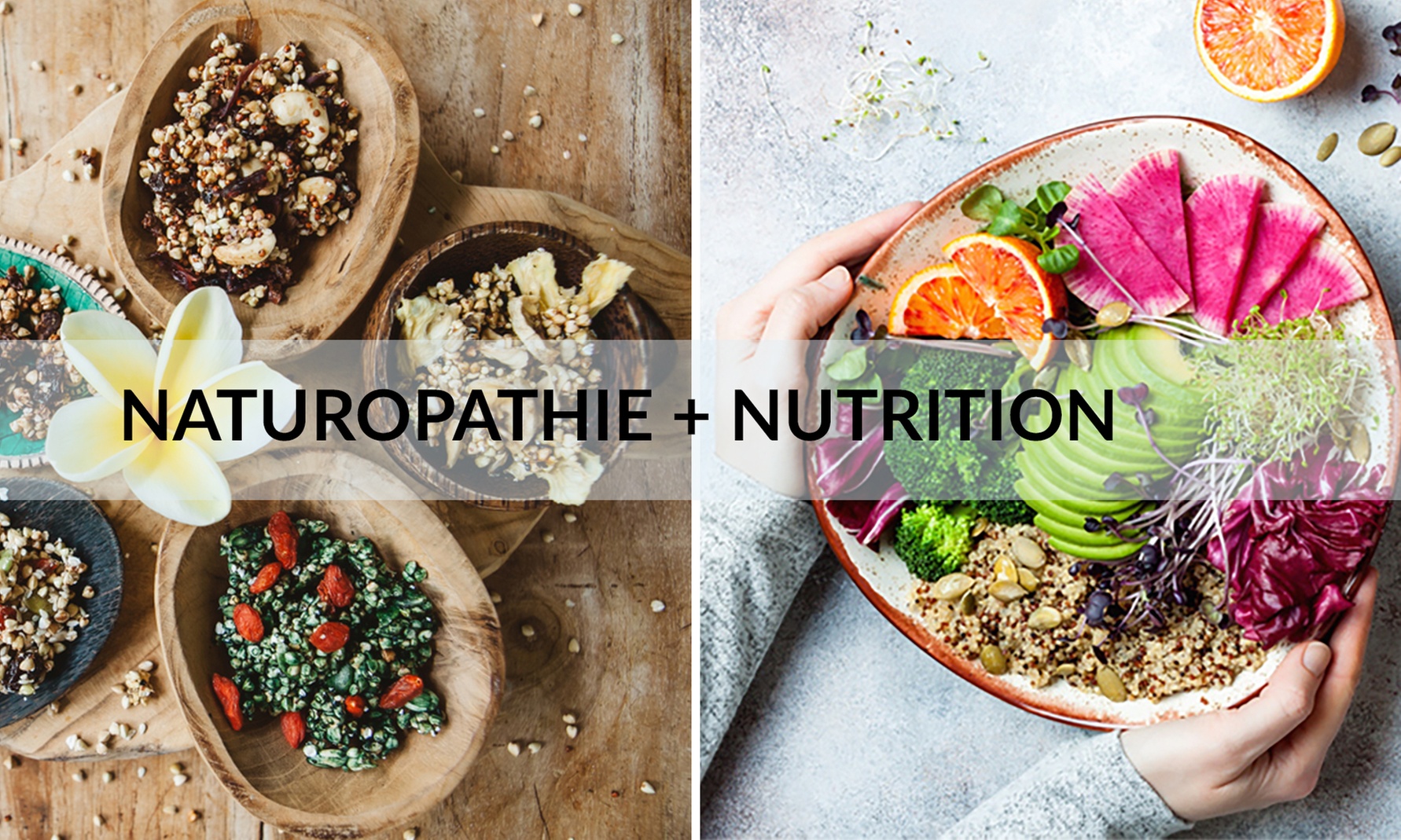Formation "Naturopathie" et "Coach en Nutrition" sur MeFormer