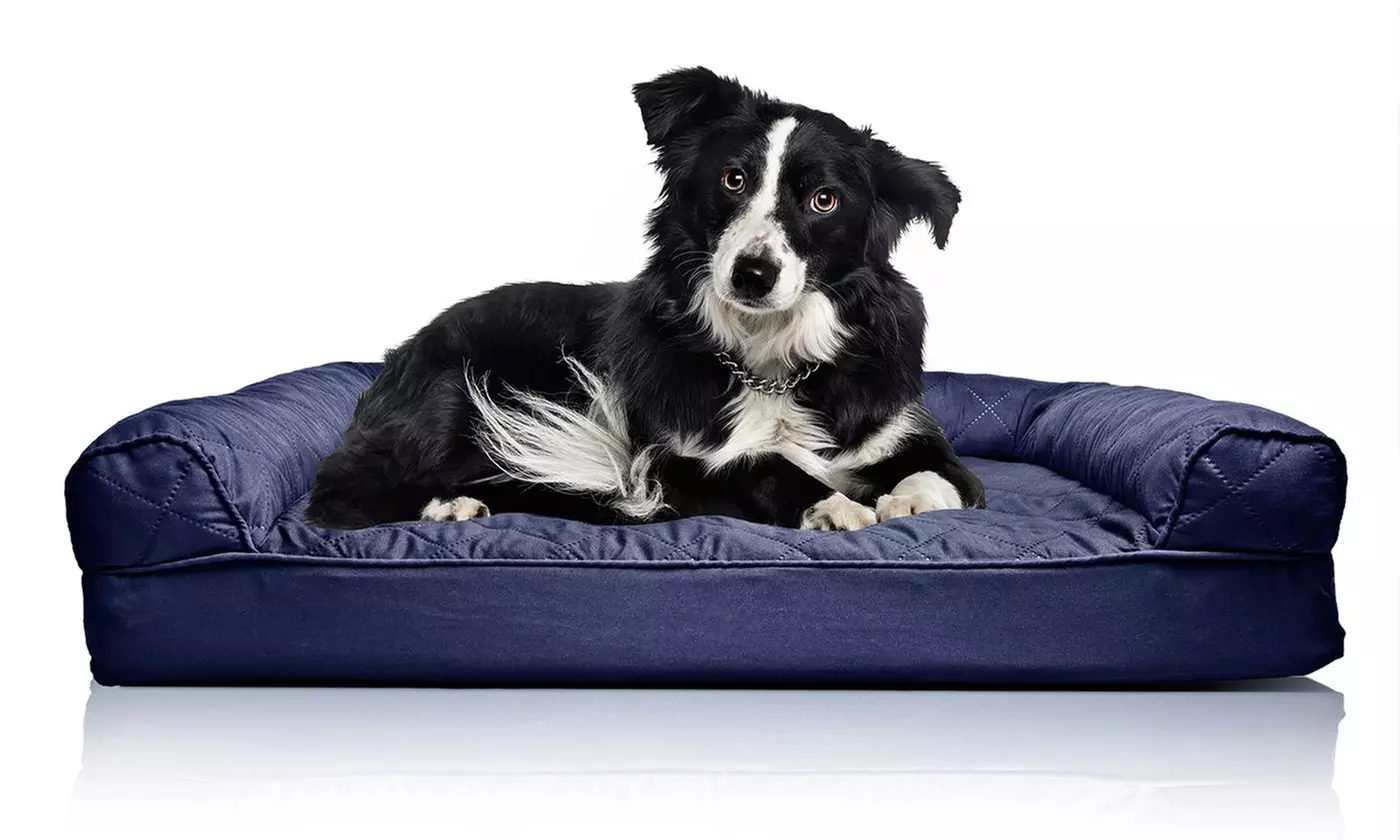Cama ortopédica acolchada para perros Pet Amore - Primary Image