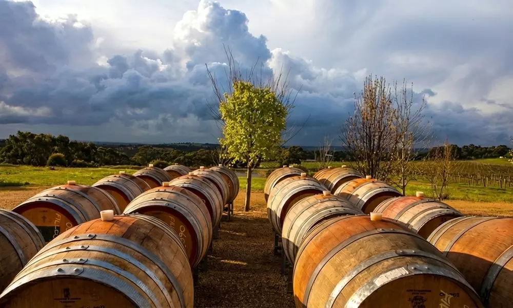 Afternoon Tea and Lunch for Two, Four, or Six People