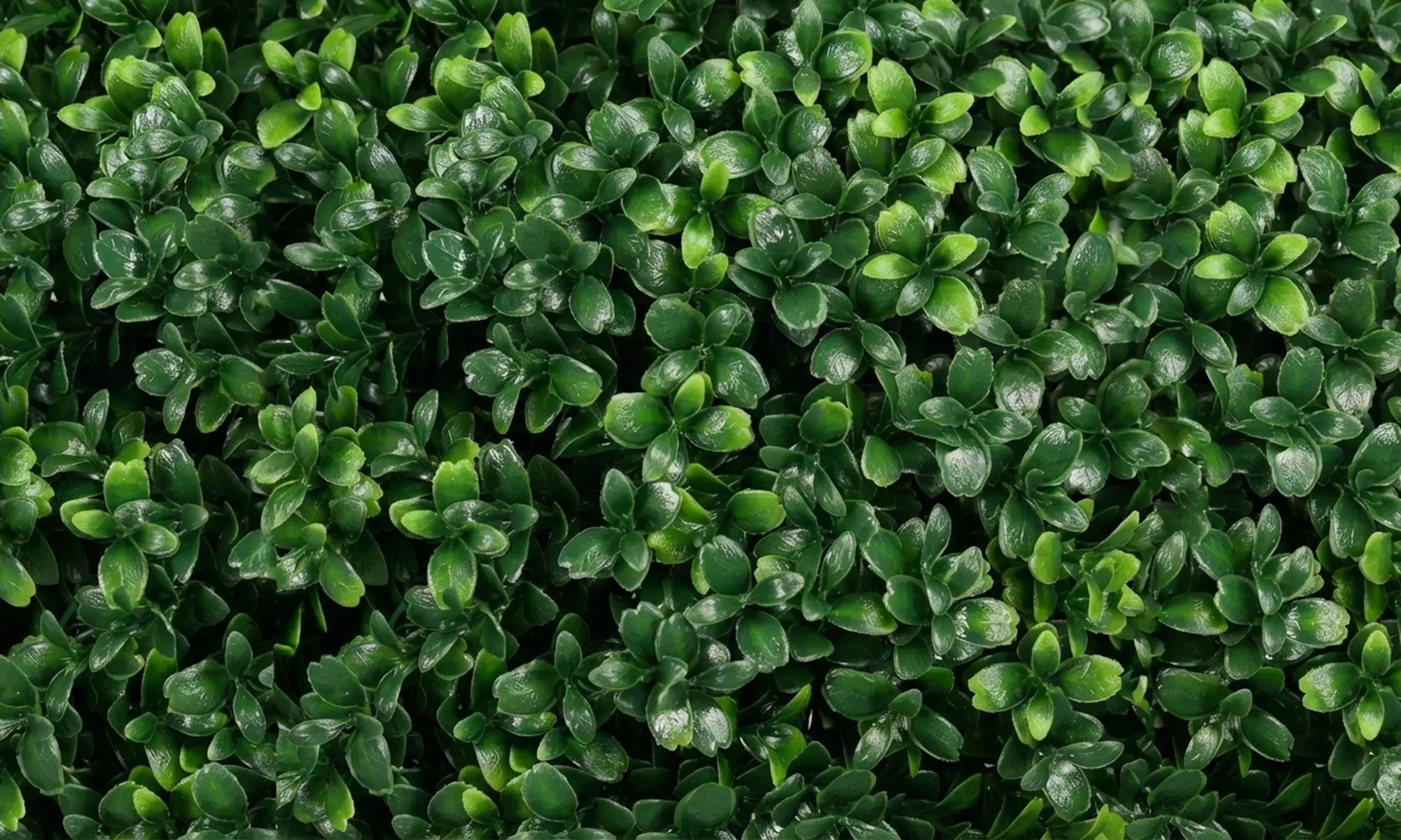 HOMCOM Artificial Boxwood Topiary Trees